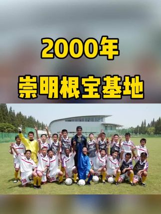 包含中国足协招标打造中国足球行业大模型，投标限价1068万元的词条