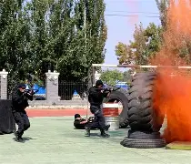 关键比赛中，苍狼突击赢下生死局，操作拉满